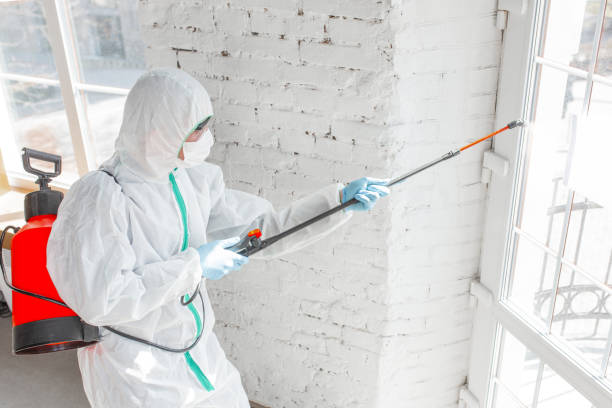 Mold Remediation for Vacation Homes in Anderson, MO